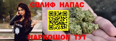 прущие грибы Брянск