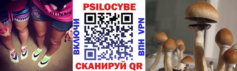 цены наркотик  блэк спрут онион  Галлюциногенные грибы мухоморы  Невинномысск 