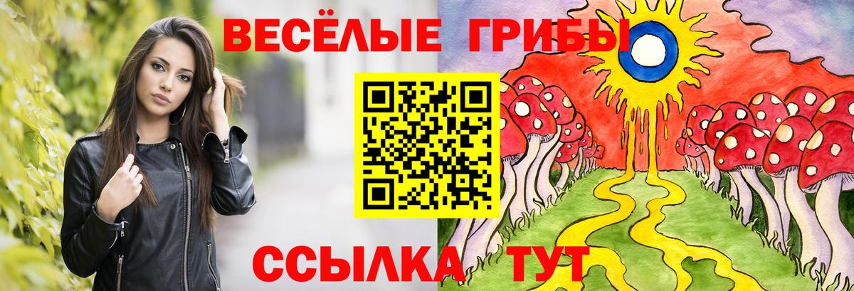 Псилоцибиновые грибы Cubensis Невинномысск